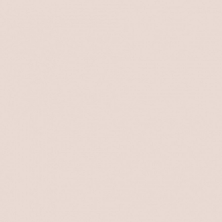 Latte KG 07